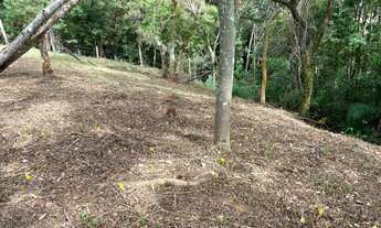 Imagem 5: Terreno no Bairro Campeche em meio a natureza