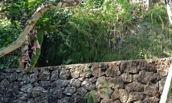 Imagem 4: Lote/Terreno para venda possui 3000 metros quadrados