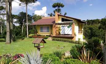 Imagem 3: RIO NEGRINHO - CHACARA - Campo Lençol