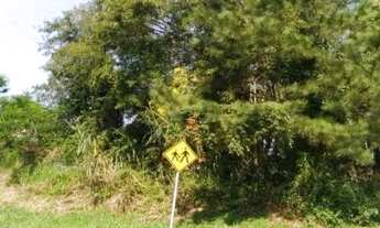 Imagem 2: Terreno à Venda, 812,26m²