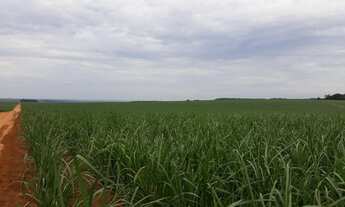 Imagem 6: Fazenda para Venda em Mineiros, Mineirinho