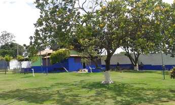 Imagem 7: Chacára no Capão do Pequi