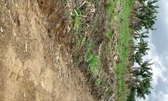 Imagem 2: Vendo Área 2.000M² para chacara em São João do Itaperiú. R$200.000,00