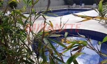 Imagem 5: Apartamento para venda com 175 metros quadrados com 3 quartos em Água Fria - São Paulo - S