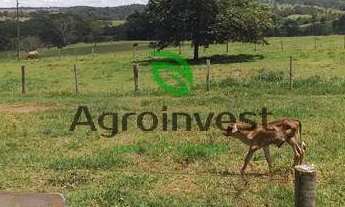 Imagem 5: Sítio em Nazário-GO