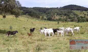 Imagem 2: Sítio 7,5 alqueires, Casa sede, piscina, Camanducaia-MG