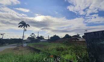 Imagem 3: Terreno para venda no Rivieira em Matinhos