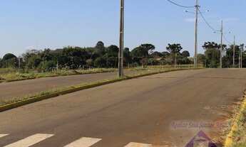 Imagem 4: Terreno para Venda em Castro, JARDIM BELA VISTA