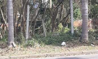 Imagem: Lote/Terreno para venda com 1500 metros