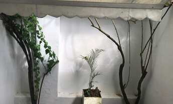 Imagem 7: Casa para aluguel possui 300 metros quadrados com 4 quartos em Jardim Botânico - Rio de Ja