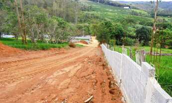 Imagem 5: VIçOSA - Chácara - Violeira