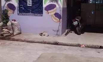 Imagem: Alugo ponto comercial no bairro do Guamá