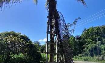 Imagem 4: Terreno Belterra