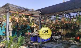 Imagem 6: Arniqueiras Terreno escriturado 1800m2, pode dividir, com piscina e casa simples arniqueir