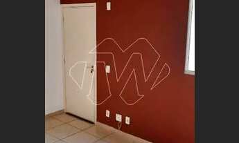 Imagem 6: Locação de Apartamentos / Padrão na cidade de Araraquara