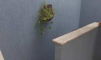 Imagem 2: SOBRADO - PLANALTO PAULISTA - SP