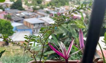 Imagem 7: Vendo Casa no Parque São Pedro, próximo ao CPMA III