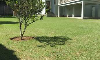 Imagem 4: Para ver o dia nascer feliz