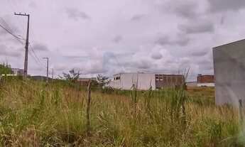 Imagem 3: Lote para Venda em Vitória de Santo Antão, Matriz