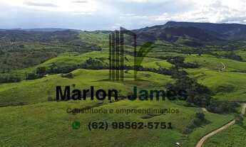 Imagem 4: FAZENDA EM NIQUELÂNDIA-GO VENDA!