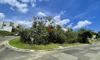 Imagem 7: Lote de Esquina no Passaredo 338m²