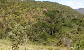 Imagem 4: Fazenda 78 Alqueires