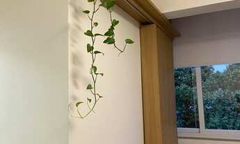 Imagem 3: Kitnet/conjugado para aluguel com 30 metros quadrados com 1 quarto