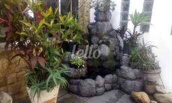 Imagem 3: São Paulo - Casa Padrão - Mooca