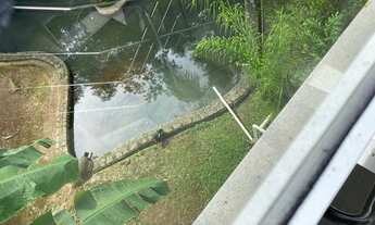 Imagem 3: Casa de condomínio para aluguel tem 300 metros quadrados com 3 quartos