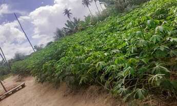 Imagem: Vendo ou troco chácara em Itaporanga