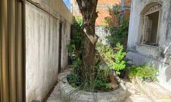 Imagem 2: Casa no José Conrado de Araújo