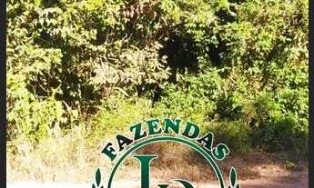 Imagem 5: Oportunidade Fazenda pra Lavoura 918 Alqueires ou Seja 4.444 Hectares, Beira Rio Plana