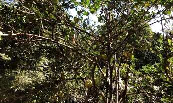 Imagem: Chácara à venda no bairro Sítios de Recreio