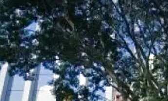 Imagem 2: CONJ. COMERCIAL - PINHEIROS - SP