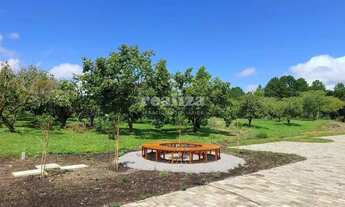 Imagem 6: TERRENO EM GRAMADO