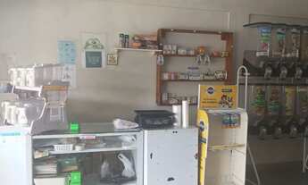 Imagem 3: Passo ponto comercial