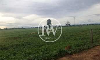 Imagem 3: Fazenda à Venda 2.400 Alqueires Próximo a Flores de Goiás