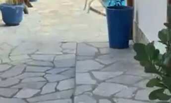 Imagem 5: Casa Pireneus Casa com 5 dormitórios