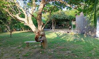 Imagem 6: Vendo um sítio e uma casa no porto do mocagituba, Paço do Lumiar