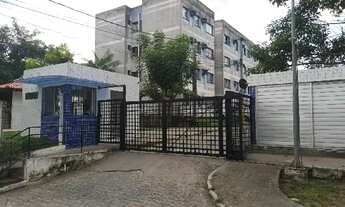 Imagem: Oportunidade Única em SAO LOURENCO DA MATA