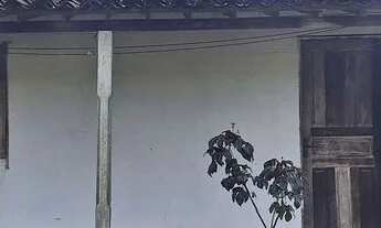 Imagem 6: Sítio com casa Chácara com venda por R$120.000