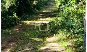 Imagem 5: SITIO COM 10 HECTARES - REGIÃO DO SUCURI