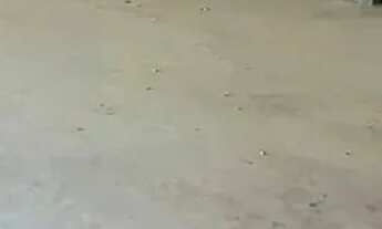 Imagem 3: Galpao na Maraponga