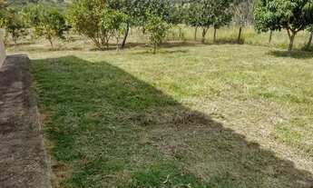 Imagem 3: Chacara 33 mil metros em vianopolis go