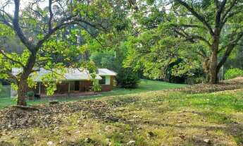 Imagem 4: Sítio em Rodovia Capitão Barduíno - Curitibanos - Bragança Paulista/SP