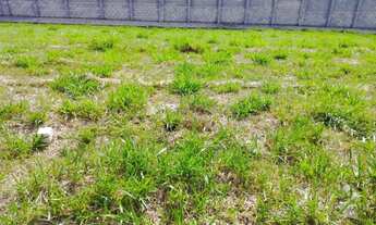 Imagem 4: Paradise Gardens - Terreno em Condomínio Fechado, à venda em Mogi das Cruzes - SP