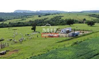 Imagem 4: Chácara de 15,5 alqueires (75 hectares) em Parauna - GO