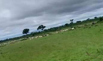 Imagem: Fazenda com 517 hectares na região entre