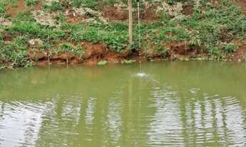 Imagem: Chácara em Bonfinópolis 5000m2 só R$