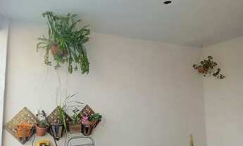 Imagem: Casa em Amparo -SP